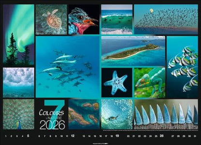 Calendar 'Colours of Nature' 2026: Large photo wall calendar in landscape format (68x49cm)