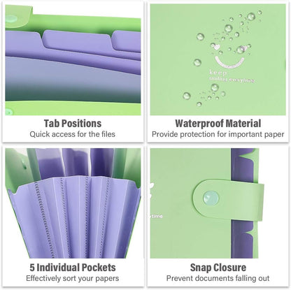 Document folder in A4 format (6 pieces): Organizer folder with 5 compartments &amp; sticky notes