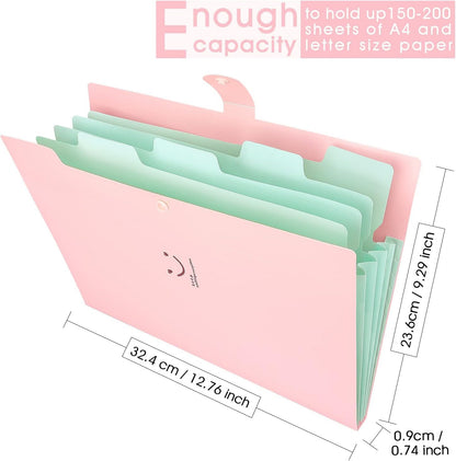 Document folder in A4 format (6 pieces): Organizer folder with 5 compartments &amp; sticky notes