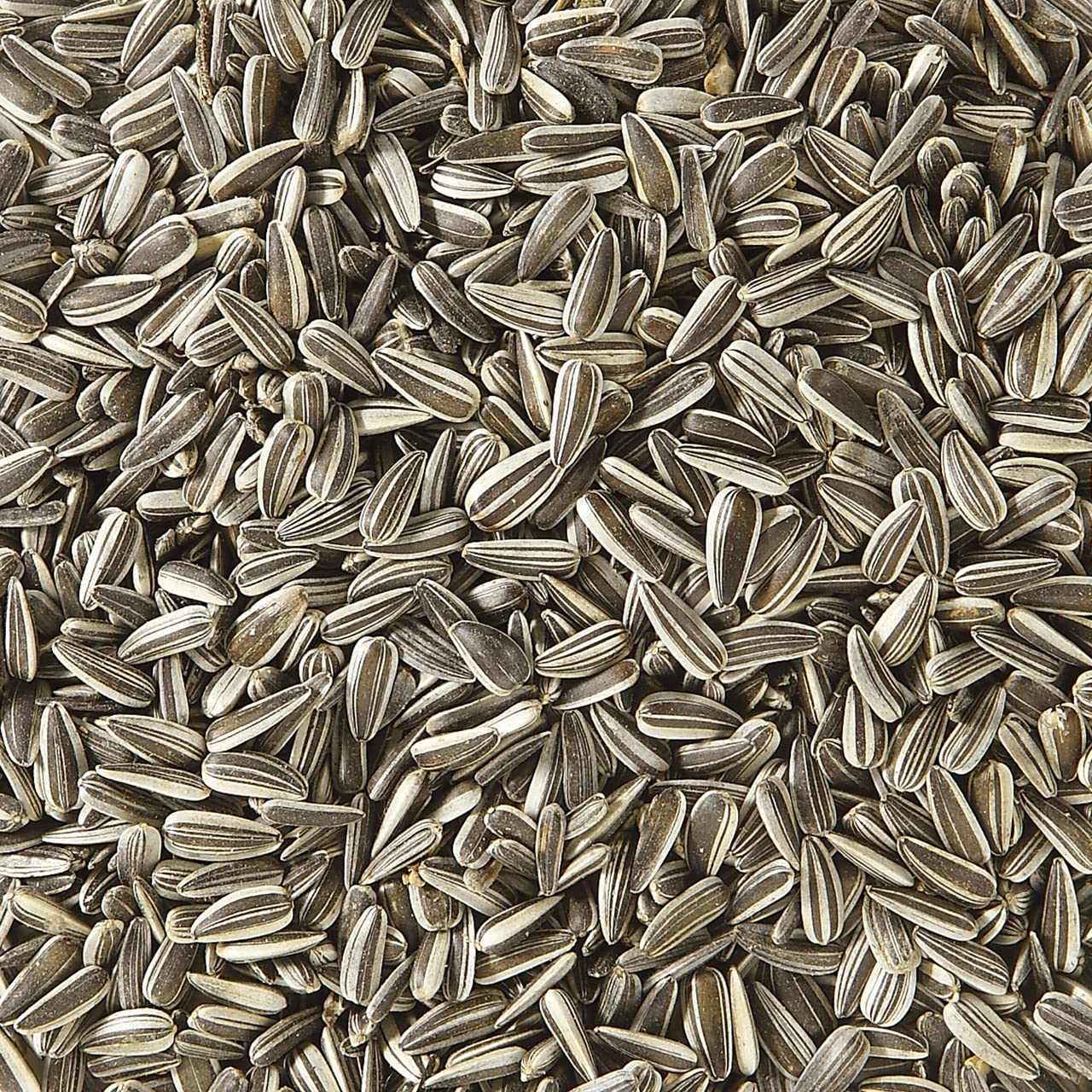 Dehner Natura Premium Year-Round Wild Bird Food: Sunflower Seeds (5kg)